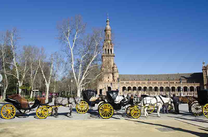Sevilla 048 - parque de María Luisa - plaza de España - carruajes de caballos.jpg